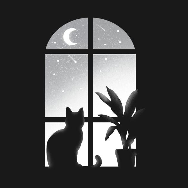 Cat window - Kitty looking stars - infinite night - beautiful moon by BlancaVidal