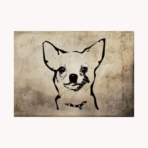 Chihuahua by DoggyStyles