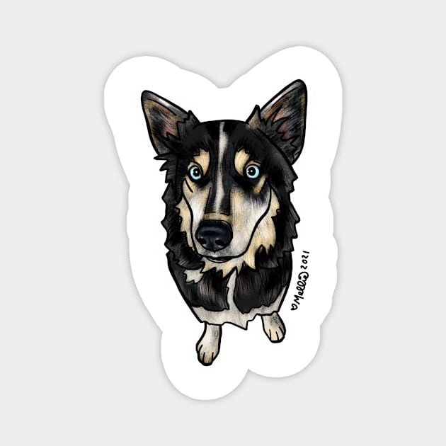 Selah — Dogs of Redstone, Colorado Magnet by mellierosetest