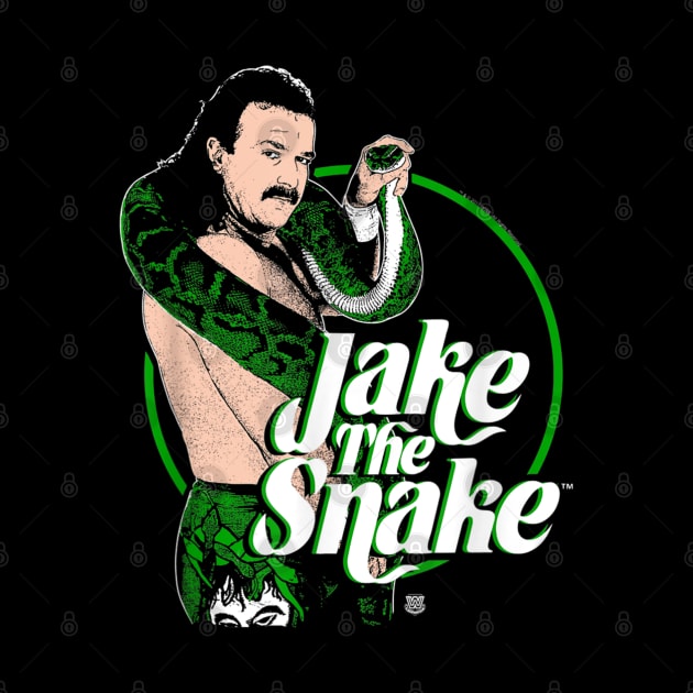 Jake The Snake Roberts by Holman