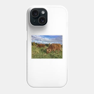 Scottish Highland Cattle Cows 1560 Phone Case