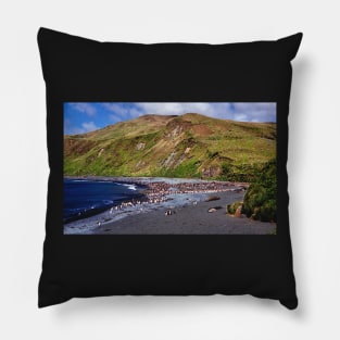 Macquarie Island Beach Pillow