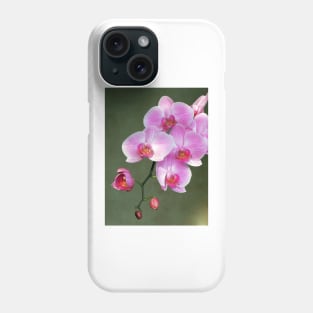 Pink orchid flowers Phone Case