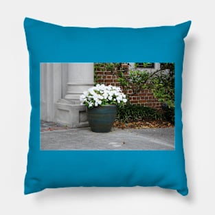 Pansy White Pillow