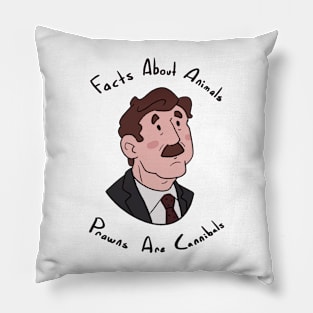 Mike Wozniak Facts - Taskmaster Pillow