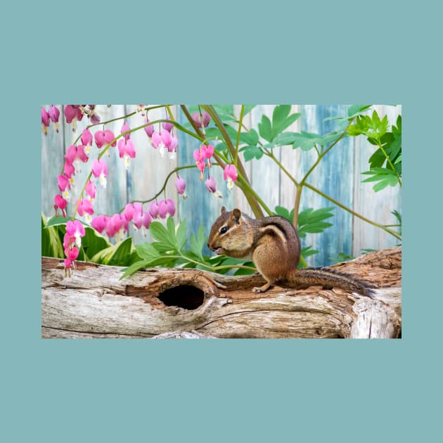 Active chipmunk in a spring time garden by iyd39