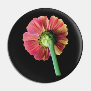 Pretty Strawberry Lemonade Flower, Bold Pink and Yellow Flower Photograph Pin