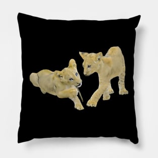 Lion-Babies - Predator - Cat - Big Cat - Africa Pillow