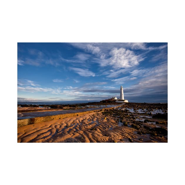 October sunshine at St Mary's Island by Violaman