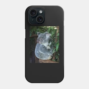 Australian Koala Phone Case