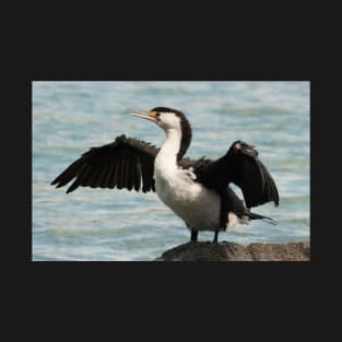 Australian pied cormorant T-Shirt