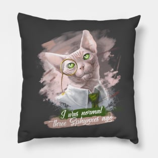 Sphynx cat Pillow