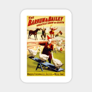 Vintage Advertising Poster USA The Barnum & Bailey Magnet