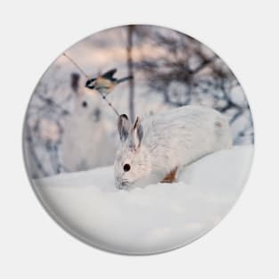 Snow Shoe Hare Pin