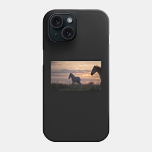 Sunset Rising Phone Case