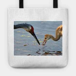 Sandhill crane parent with chick Tote