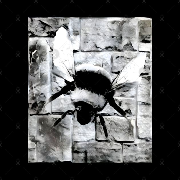 Bee Black and White Spray Paint Wall by Nuletto