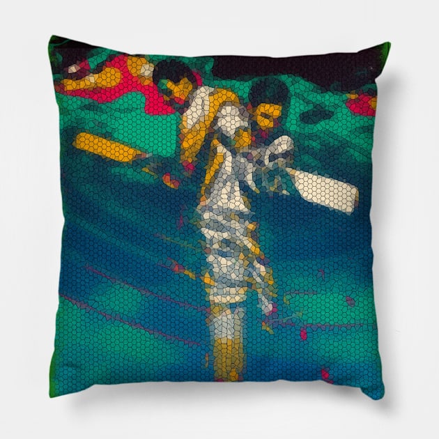 World Cup Cricket Batsman Passion P17 Pillow by FasBytes