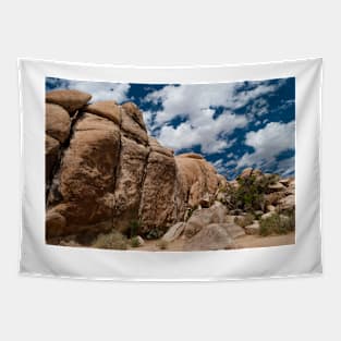 Joshua Tree Rock Formation Tapestry