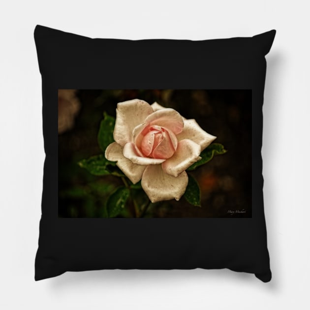 Beauty Fades Pillow by machare