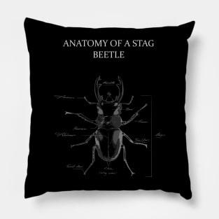 Stag Beetle Anatomy Pillow