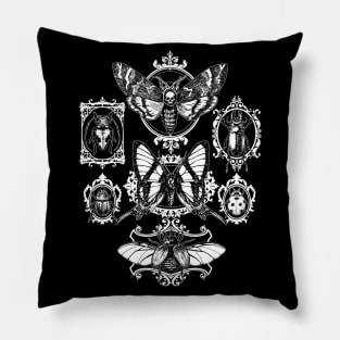 Gothic Framed Insects Pillow