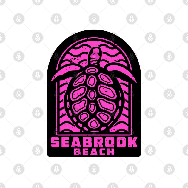 Seabrook Beach New Hampshire Sea Turtle NH by DD2019