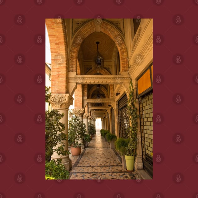 Ornate Portico in Treviso, Italy by jojobob