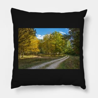 Road through forest Pillow