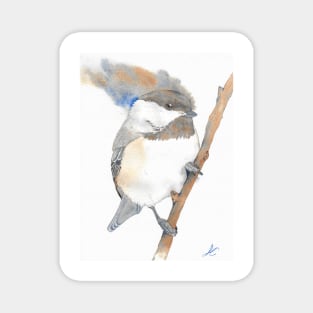 Black-capped Chickadee Poecile atricapillus watercolor portrait white Magnet