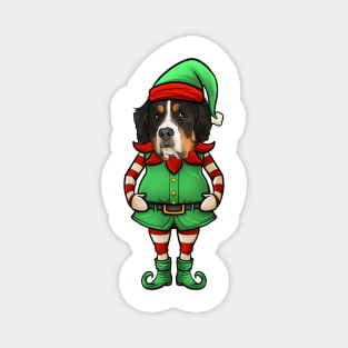 Bernese Mountain Dog Christmas Elf Magnet