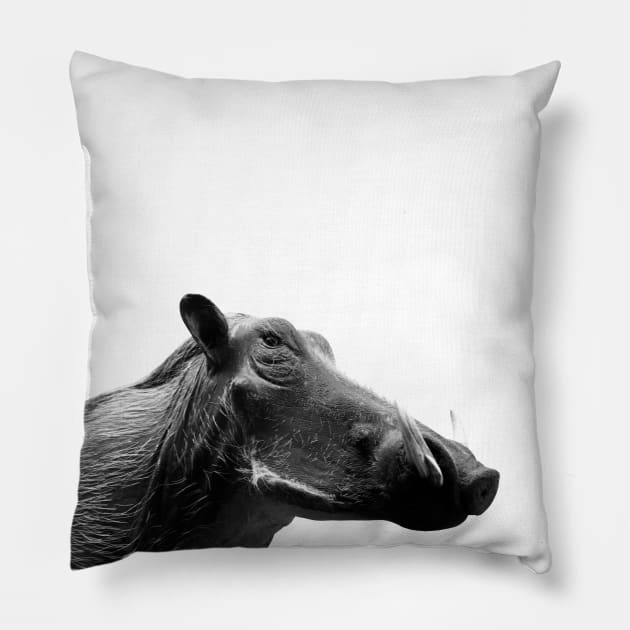 Warthog Pillow by Wolf Art / Swiss Artwork Photography