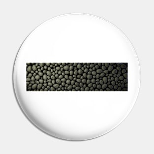 Gobblestones Pin