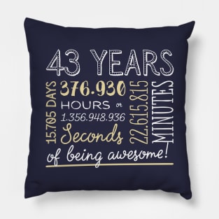 43rd Birthday Gifts - 43 Years of being Awesome in Hours & Seconds Pillow