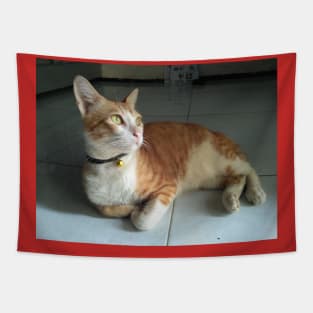 cute renji cat Tapestry