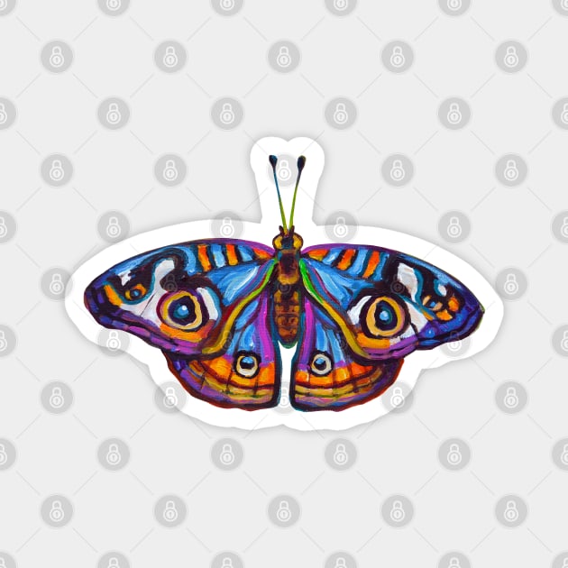 Amazon BUTTERFLY STICKER Magnet by RobertPhelpsArt