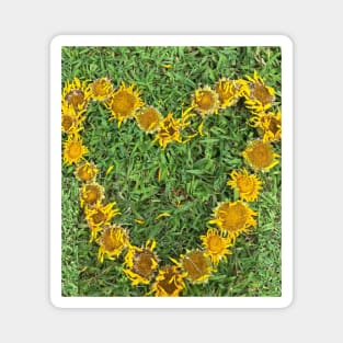 Sunflower Heart with grass Magnet