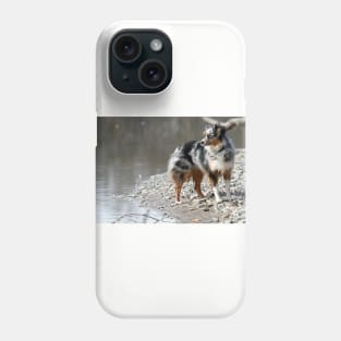 miniature american shepherd blue merle full Phone Case