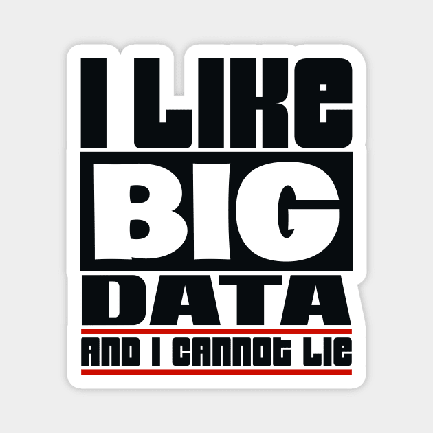 I like big data and I cannot lie Magnet by colorsplash