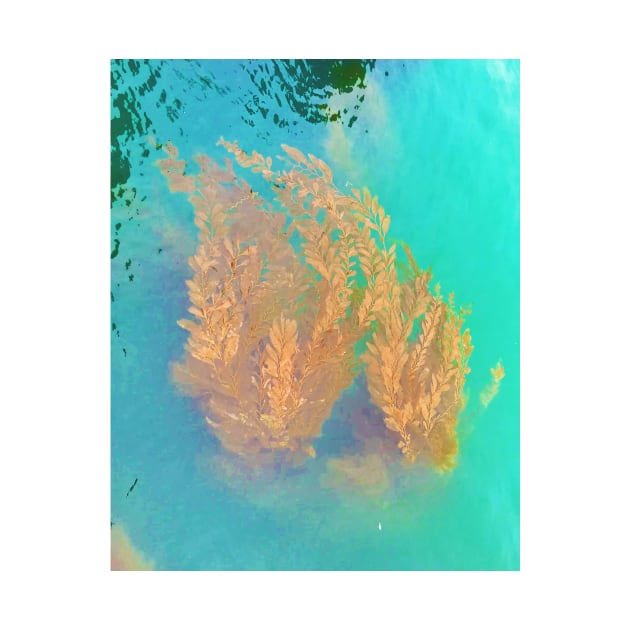 Kelp Floating in the Pacific Ocean by ephotocard