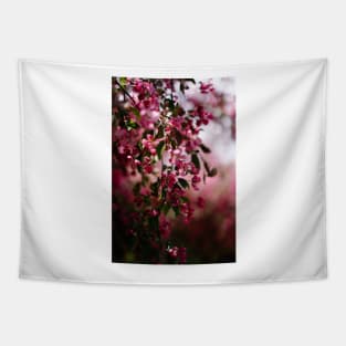 Blushing Beauty Tapestry