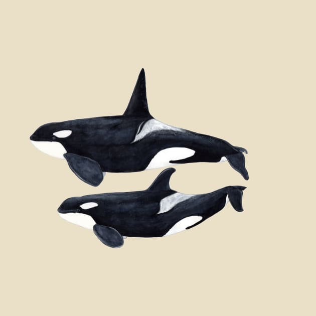 Orca male and female by chloeyzoard