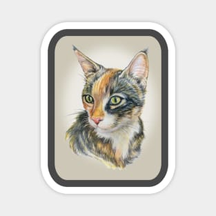 Domestic Cat/Kitten "Daisy" Magnet