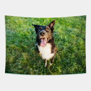 Happy Border Collie Tapestry