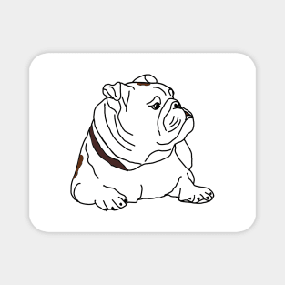 English bulldog Magnet