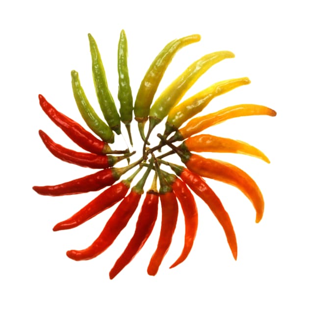 Charleston Hot Peppers Color Wheel by Bravuramedia