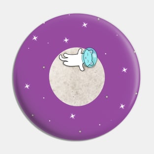 Cat on a moon Pin