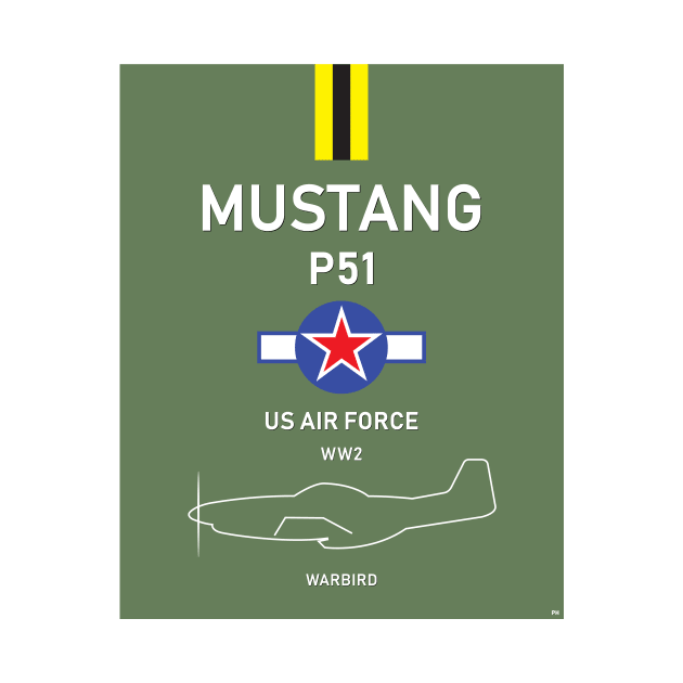 USAF P51 Mustang WW2 Warbird Fighter Air Force by PB Mary