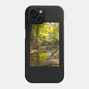 Autumn--Frick Park Pittsburgh Phone Case