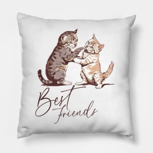 Best Cat Friend Pillow